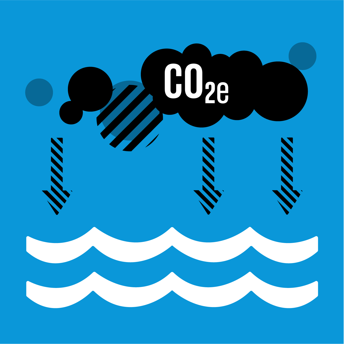 14.3 - Reducir la acidificación del océano